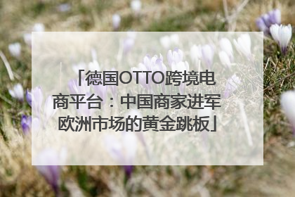 德国OTTO跨境电商平台：中国商家进军欧洲市场的黄金跳板