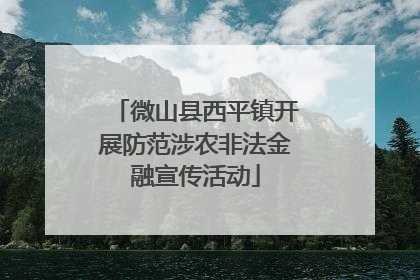 微山县西平镇开展防范涉农非法金融宣传活动