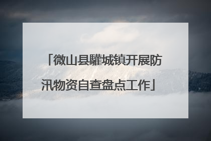 微山县驩城镇开展防汛物资自查盘点工作