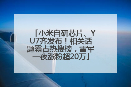 小米自研芯片、YU7齐发布！相关话题霸占热搜榜，雷军一夜涨粉超20万