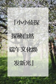 小小侦探探秘自然 端午文化焕发新光