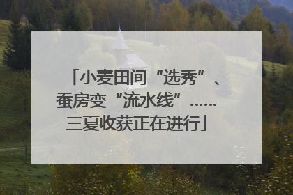 小麦田间“选秀”、蚕房变“流水线”……三夏收获正在进行
