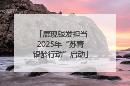 展现银发担当 2025年“苏青银龄行动”启动