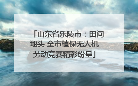 山东省乐陵市：田间地头 全市植保无人机劳动竞赛精彩纷呈