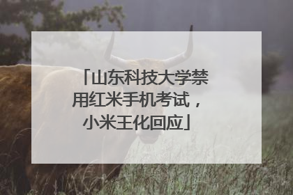 山东科技大学禁用红米手机考试，小米王化回应