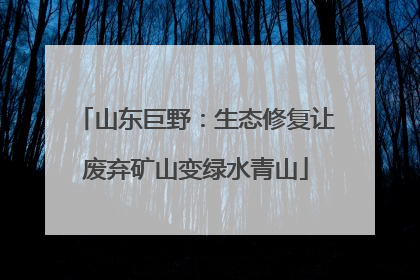 山东巨野：生态修复让废弃矿山变绿水青山