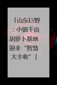 山东巨野：小镇千亩胡萝卜基地迎来“智慧大丰收”