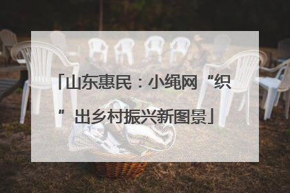 山东惠民：小绳网“织”出乡村振兴新图景