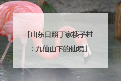 山东日照丁家楼子村：九仙山下的仙境