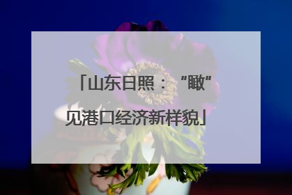 山东日照：“瞰”见港口经济新样貌
