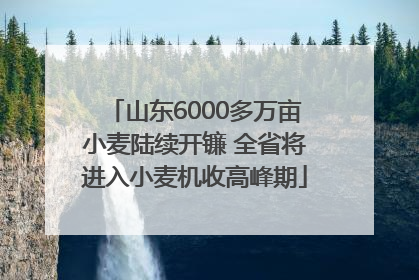 山东6000多万亩小麦陆续开镰 全省将进入小麦机收高峰期