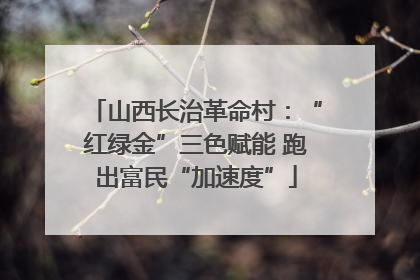 山西长治革命村：“红绿金”三色赋能 跑出富民“加速度”