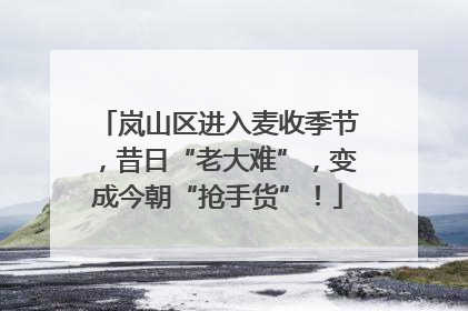 岚山区进入麦收季节，昔日“老大难”，变成今朝“抢手货”！