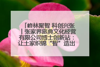 峰林聚智 科创兴张丨张家界旅典文化经营有限公司博士创新站：让土家织锦“智”造出非遗新传奇