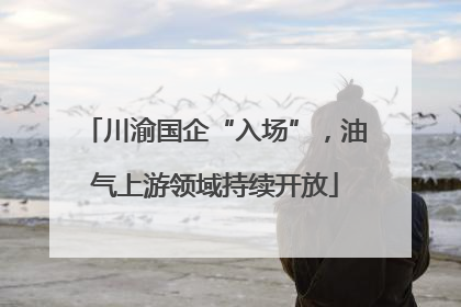 川渝国企“入场”，油气上游领域持续开放