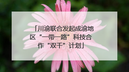 川渝联合发起成渝地区“一带一路”科技合作“双千”计划
