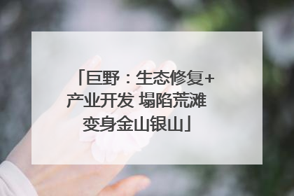 巨野：生态修复+产业开发 塌陷荒滩变身金山银山