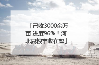 已收3000余万亩 进度96%！河北夏粮丰收在望
