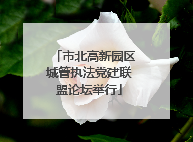 市北高新园区城管执法党建联盟论坛举行
