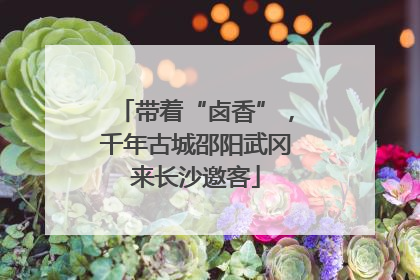 带着“卤香”，千年古城邵阳武冈来长沙邀客