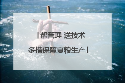 帮管理 送技术 多措保障夏粮生产