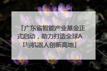 广东省智能产业基金正式启动，助力打造全球AI与机器人创新高地