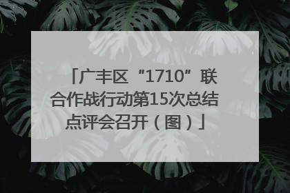 广丰区“1710”联合作战行动第15次总结点评会召开（图）