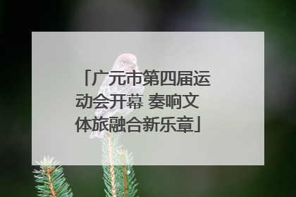 广元市第四届运动会开幕 奏响文体旅融合新乐章
