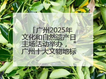 广州2025年文化和自然遗产日主场活动举办，“广州十大文物地标”公布