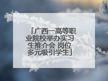 广西一高等职业院校举办实习生推介会 岗位多元吸引学生