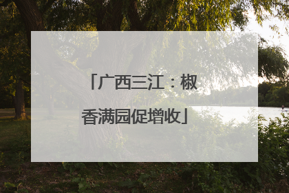 广西三江：椒香满园促增收