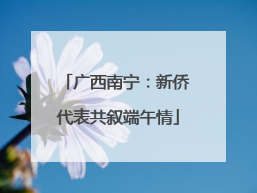 广西南宁：新侨代表共叙端午情
