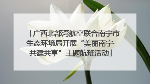 广西北部湾航空联合南宁市生态环境局开展“美丽南宁·共建共享”主题航班活动