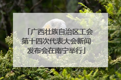广西壮族自治区工会第十四次代表大会新闻发布会在南宁举行