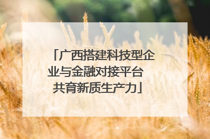 广西搭建科技型企业与金融对接平台 共育新质生产力