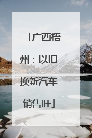 广西梧州：以旧换新汽车销售旺