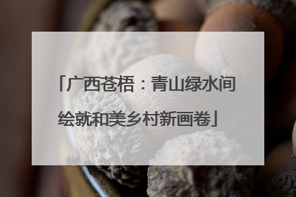 广西苍梧：青山绿水间绘就和美乡村新画卷