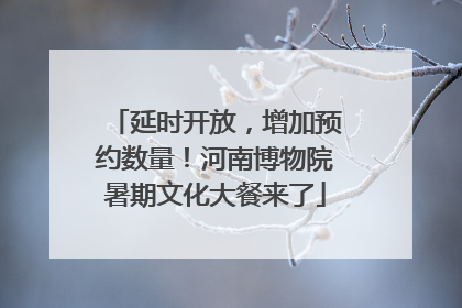 延时开放，增加预约数量！河南博物院暑期文化大餐来了