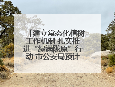 建立常态化植树工作机制 扎实推进“绿满陇原”行动 市公安局预计年底前完成1402亩绿化任务