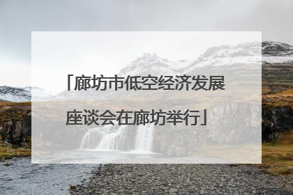 廊坊市低空经济发展座谈会在廊坊举行