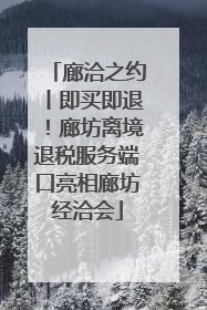 廊洽之约丨即买即退！廊坊离境退税服务端口亮相廊坊经洽会
