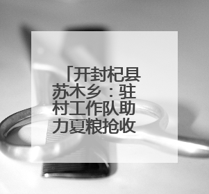 开封杞县苏木乡：驻村工作队助力夏粮抢收按下 “快进键”