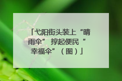 弋阳街头装上“晴雨伞” 撑起便民“幸福伞”（图）