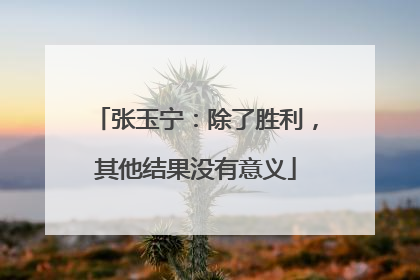 张玉宁：除了胜利，其他结果没有意义