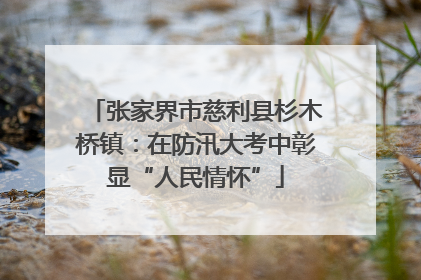 张家界市慈利县杉木桥镇：在防汛大考中彰显“人民情怀”