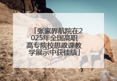 张家界航院在2025年全国高职高专院校思政课教学展示中获佳绩