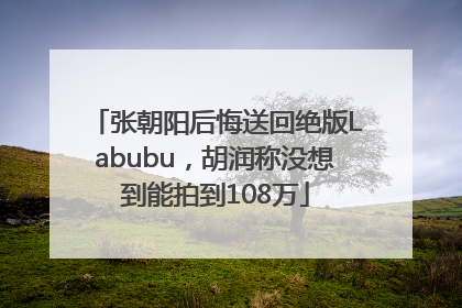 张朝阳后悔送回绝版Labubu，胡润称没想到能拍到108万