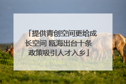 提供青创空间更给成长空间 瓯海出台十条政策吸引人才入乡