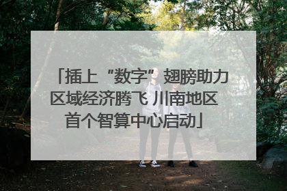 插上“数字”翅膀助力区域经济腾飞 川南地区首个智算中心启动