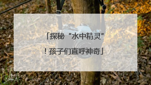 探秘“水中精灵”！孩子们直呼神奇